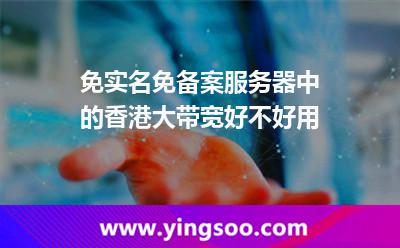 免實(shí)名免備案服務(wù)器中的香港大帶寬好不好用