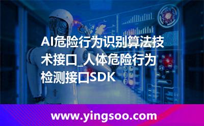 人體_AI危險行為識別算法技術(shù)接口_人體危險行為檢測接口SDK 人體