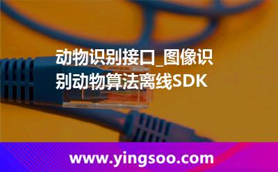 動物_動物識別接口_圖像識別動物算法離線SDK 動物