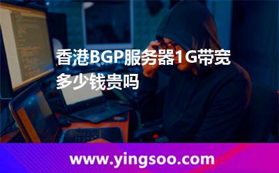 香港BGP服務(wù)器1G帶寬多少錢(qián)貴嗎 香港BGP服務(wù)器1G帶寬多少錢(qián)貴嗎