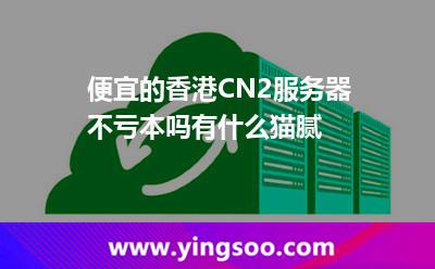 便宜的香港CN2服務(wù)器不虧本嗎有什么貓膩 便宜的香港CN2服務(wù)器不虧本嗎有什么貓膩