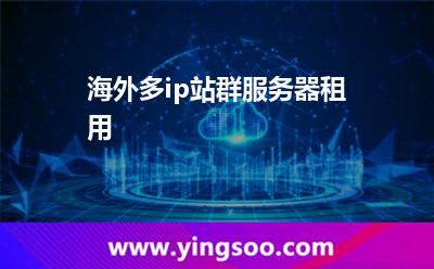 海外多ip站群服務(wù)器租用 海外多ip站群服務(wù)器租用