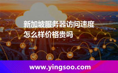 新加坡服務(wù)器訪問速度怎么樣，價格貴嗎