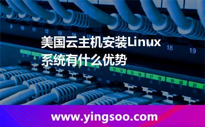 美國云主機安裝Linux系統(tǒng)有什么優(yōu)勢
