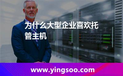 為什么大型企業(yè)喜歡托管主機