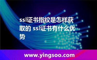 ssl證書(shū)指紋是怎樣獲取的 ssl證書(shū)有什么優(yōu)勢(shì) ssl證書(shū)指紋是怎樣獲取的 ssl證書(shū)有什么優(yōu)勢(shì)
