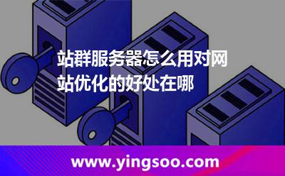 站群服務器