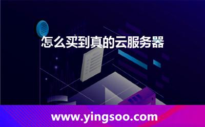 怎么買到真的云服務(wù)器