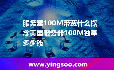 服務(wù)器100M帶寬什么概念美國(guó)服務(wù)器100M獨(dú)享多少錢