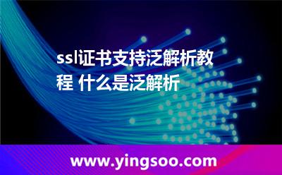 ssl證書支持泛解析教程 什么是泛解析 ssl證書支持泛解析教程 什么是泛解析