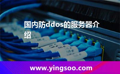 國內防ddos的服務器介紹
