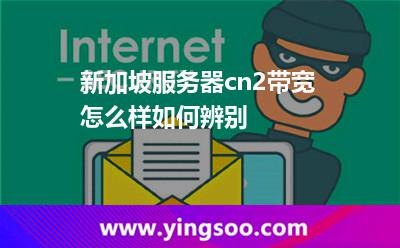 新加坡服務(wù)器cn2帶寬怎么樣如何辨別