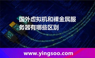 國外虛擬機和裸金屬服務(wù)器有哪些區(qū)別