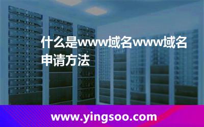 什么是www域名?www域名申請(qǐng)方法