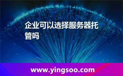 企業(yè)可以選擇服務(wù)器托管嗎