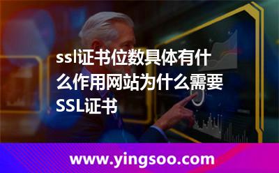 ssl證書位數(shù)具體有什么作用網(wǎng)站為什么需要SSL證書