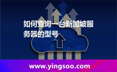 如何查詢一臺(tái)新加坡服務(wù)器的型號(hào)