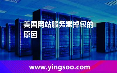 美國網(wǎng)站服務(wù)器掉包的原因
