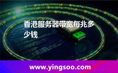 香港服務(wù)器帶寬每兆多少錢