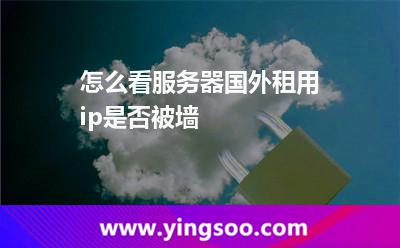 怎么看服務器國外租用ip是否被墻
