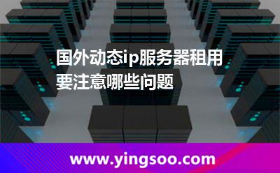 國外動態(tài)ip服務器租用要注意哪些問題