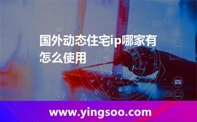 國(guó)外動(dòng)態(tài)住宅ip哪家有，怎么使用