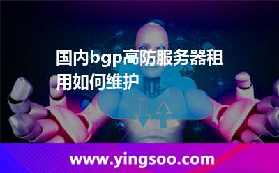 國(guó)內(nèi)bgp高防服務(wù)器租用如何維護(hù)