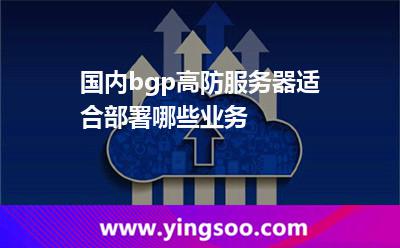 國內bgp高防服務器適合部署哪些業(yè)務