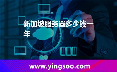 新加坡服務(wù)器多少錢一年