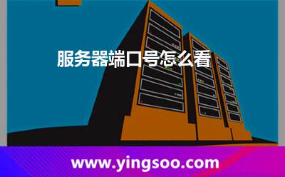 服務器端口號怎么看