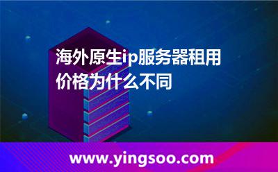 海外原生ip服務(wù)器租用價(jià)格為什么不同