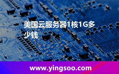 美國云服務(wù)器1核1G多少錢