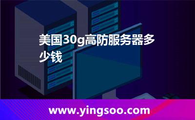 美國30g高防服務器多少錢 美國30g高防服務器多少錢