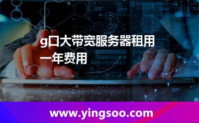 大帶寬服務(wù)器租用_g口大帶寬服務(wù)器租用一年費(fèi)用 大帶寬服務(wù)器租用